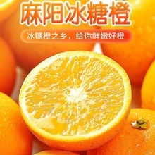 橙子湖南冰糖橙薄皮甜应季新鲜水果脐橙爱媛果冻橙包邮工厂批发