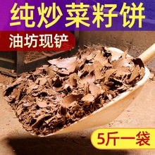 菜籽饼窝料钓鱼粉片状饵底窝鲫鱼鲤鱼野钓黑坑菜仔饼菜子饼打窝料