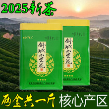 舒城小兰花2025新茶茶叶绿茶明前特二级春茶安徽散装500g