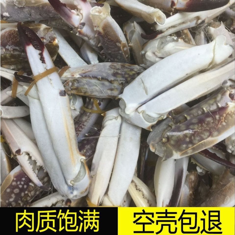 出口级梭子蟹蟹钳精挑细选蟹钳爆炒香辣蟹钳大号小号商用批发零售