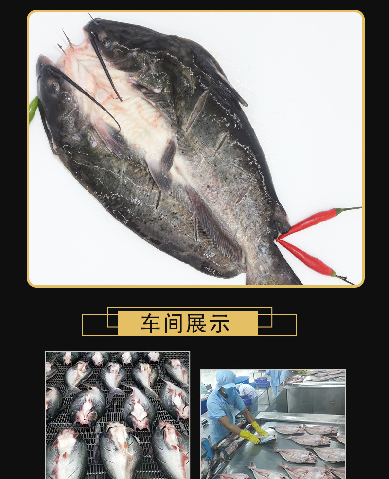 活鱼现杀直供烤鱼开背冷冻黑鮰鱼腌制清江鱼供烤鱼烧烤店工厂批发