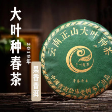 云南新品普洱茶饼生茶 大叶种春茶礼盒装 2019年果香普洱茶叶现货