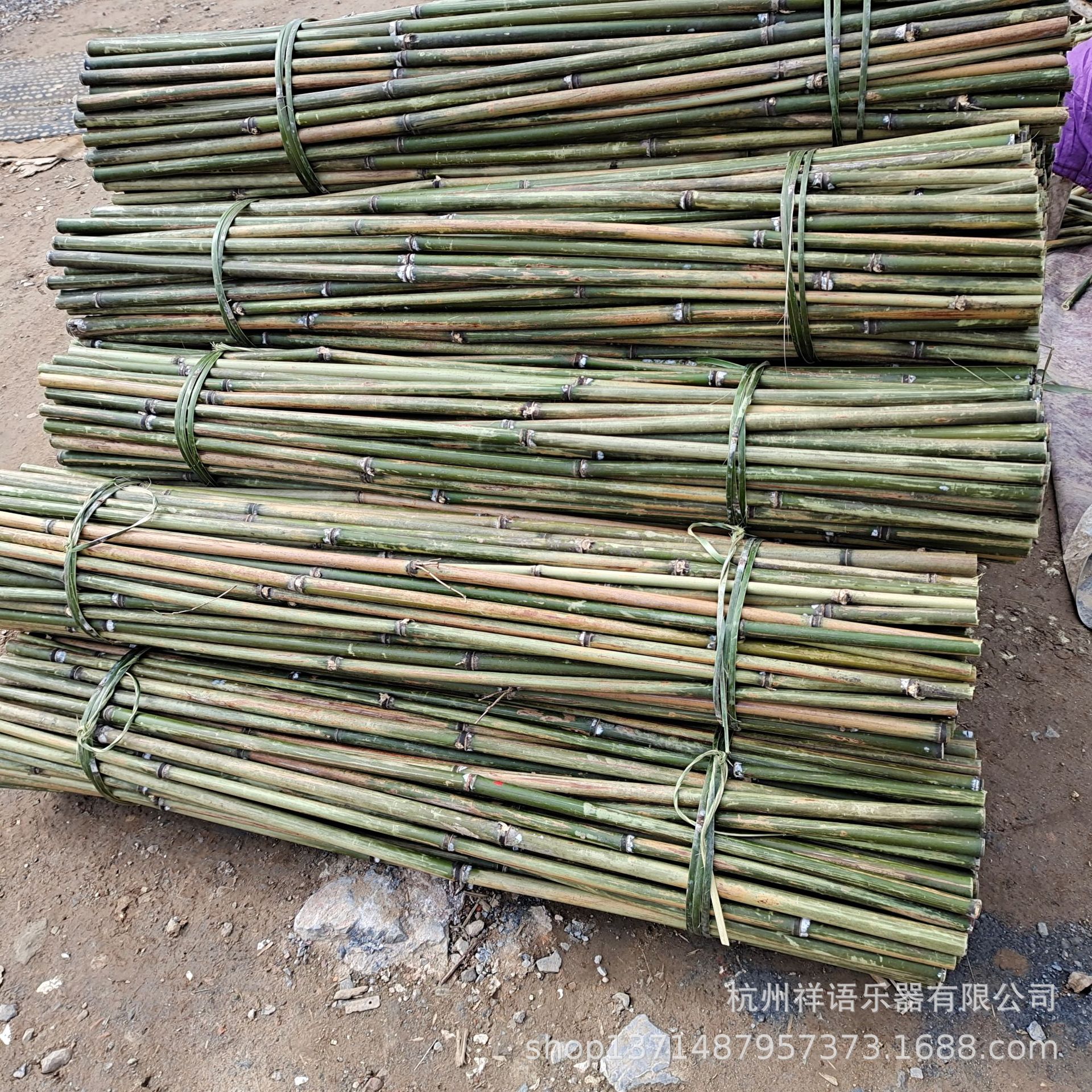 新鲜苦竹稍中泰苦竹基地源头货源直发白竹稍晾衣杆豆架 丝瓜架子