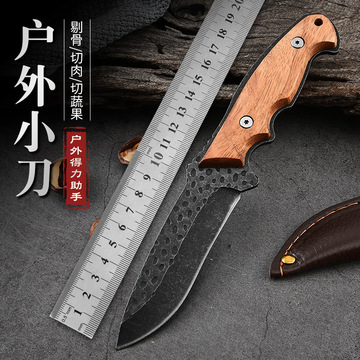 阳江刀具城暴龙户外刀露营刀多功能刀切片刀水果刀锻打高硬度小刀-阿