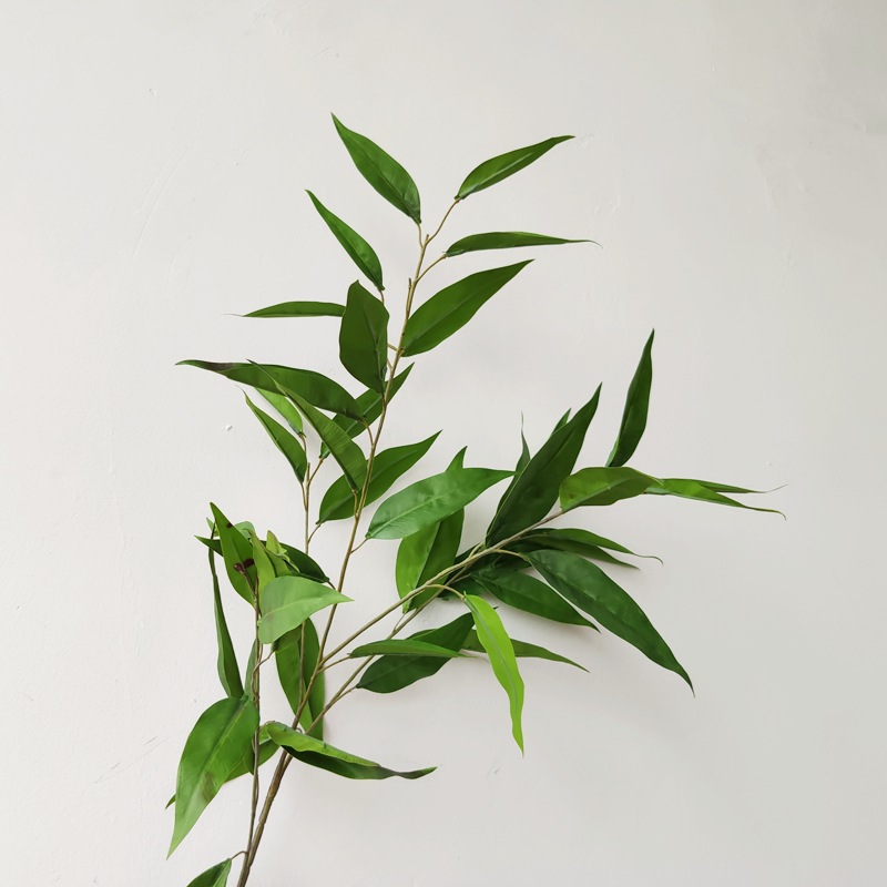 北欧风仿真桉树叶圆叶桉尤加利仿真绿植花艺配材客厅插花垂叶