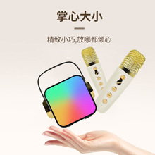 跨境新款ZX-03迷你无线RGB彩灯k歌组合蓝牙音箱户外手提带话筒音
