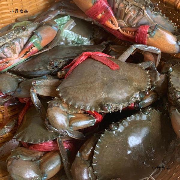 缅甸蟹青蟹香辣蟹肉蟹煲蟹粥鲜活螃蟹e蟹小肉蟹一公斤装10--12只