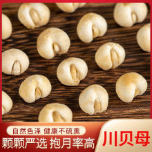 北京同仁堂川贝母500g四川川贝粉野生松贝枇杷膏包邮无硫川贝母粒