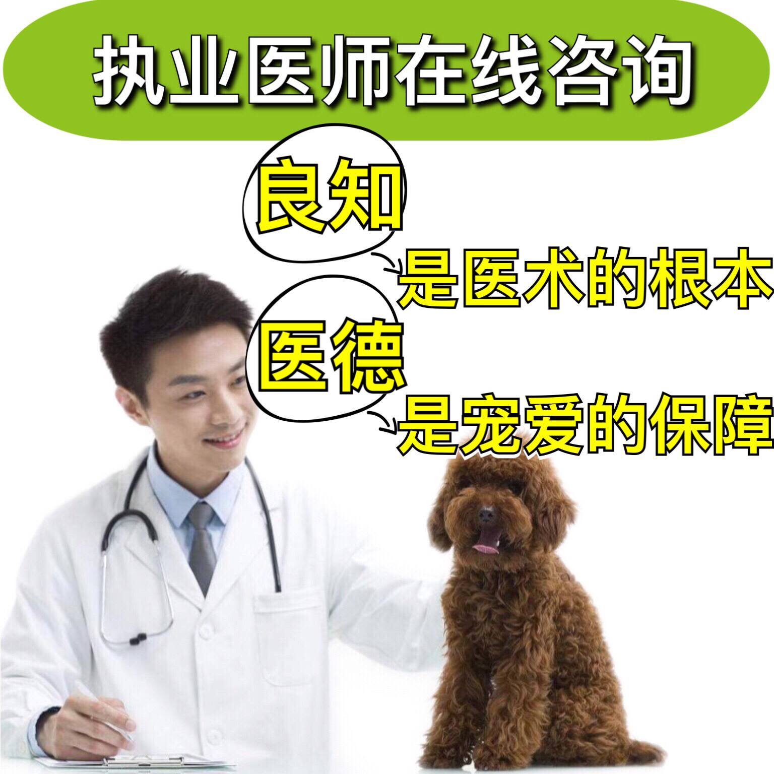 宠物医院兽医医生猫咪诊所狗狗专业问诊兽医在线在线咨询免费宠物