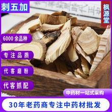 中药材批发刺五加 刺五加根 刺拐杖刺五加粉 刺五加 现货量大从优