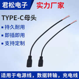 厂家定制Type-C单公头母头两芯手机充电延长线对接插座电源连接线