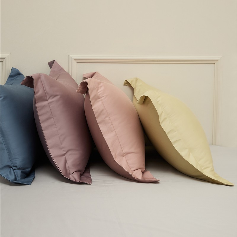 简约100s新疆长绒棉枕套一对装纯色酒店风纯棉家用枕头套48x74cm
