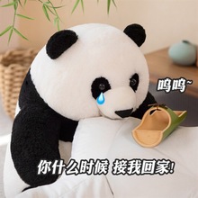 可爱大熊猫玩偶毛绒玩具小熊猫公仔布偶娃娃抱枕女生儿童生日礼物
