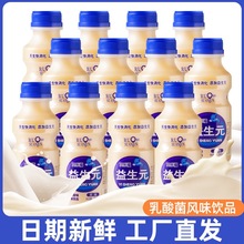 新日期益生元乳酸菌牛奶饮品340ml*12整箱特价批学生成人早餐饮料