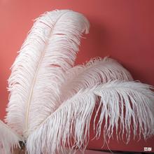 厂家直销15-80cm大鸵鸟毛白色羽毛装饰婚庆路引拍照道具客厅摆件