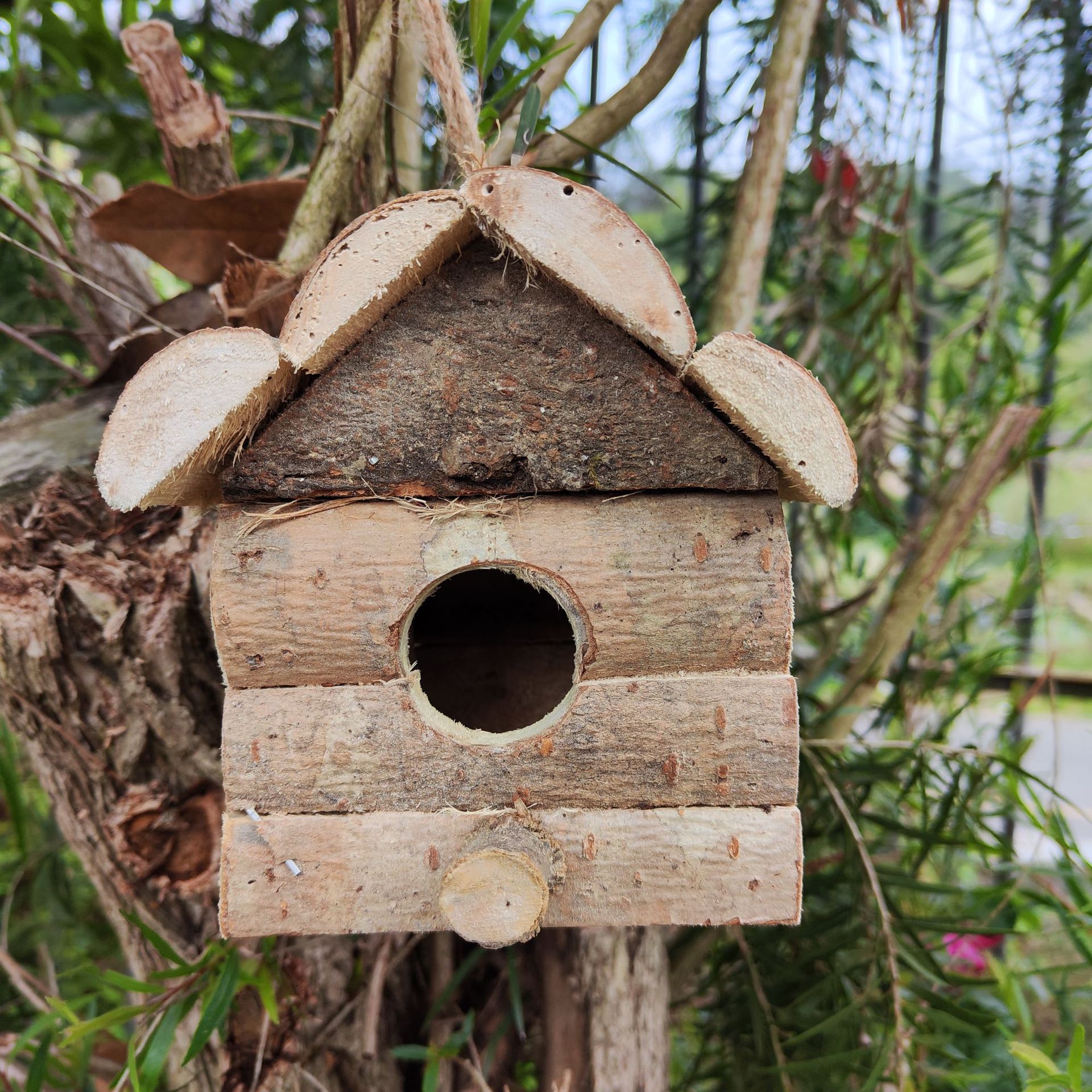 小鸟木制鸟窝