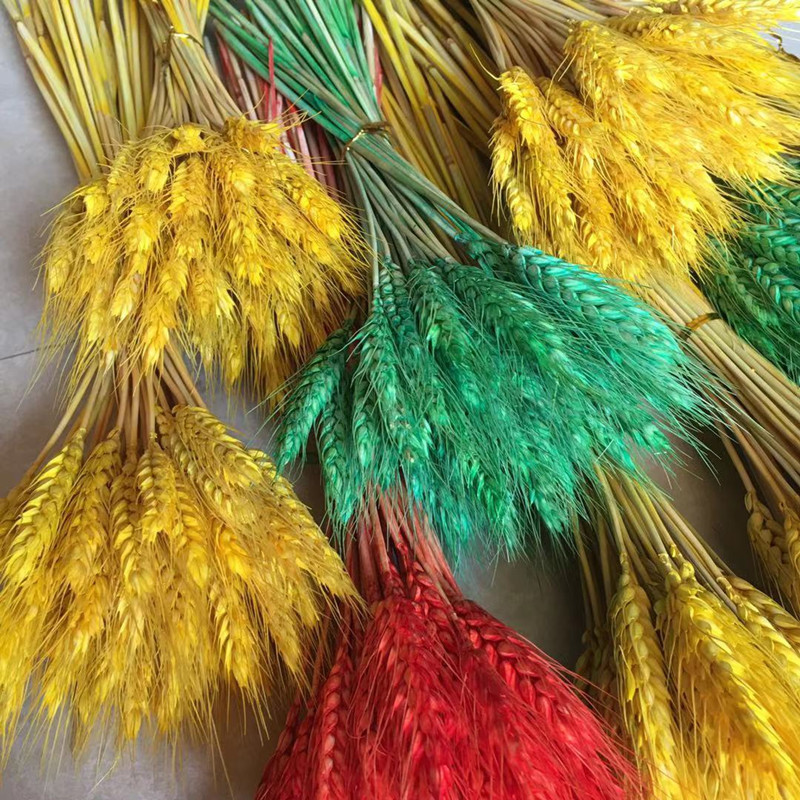 麦穗干花花束开业花篮庆典大卖大麦田园装饰摆件拍摄道具婚庆装饰