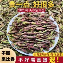 2023年头春茶云南紫芽苞茶古树白芽孢茶普洱茶生茶野花香散茶