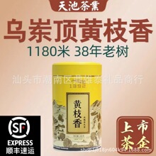 1392天池茶业凤凰单枞茶七彩系列有机乌岽顶黄枝香100克团购批发