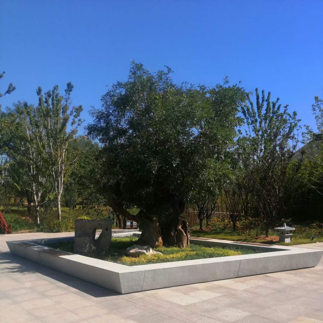 石材厂家加工订做优质青石树坑石异形树池石雕花錾道面价格便宜