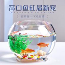 玻璃圆形加厚水培金鱼缸带脚桌面小型迷你乌龟缸圆球水培植物爽听