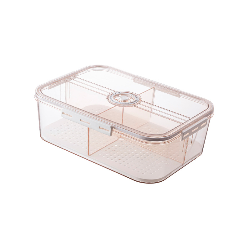 Cross-Border Pet Fruit Crisper Food Grade Sealed Box Refrigerator Dedicated Grid Storage Box Large Capacity Storage Box