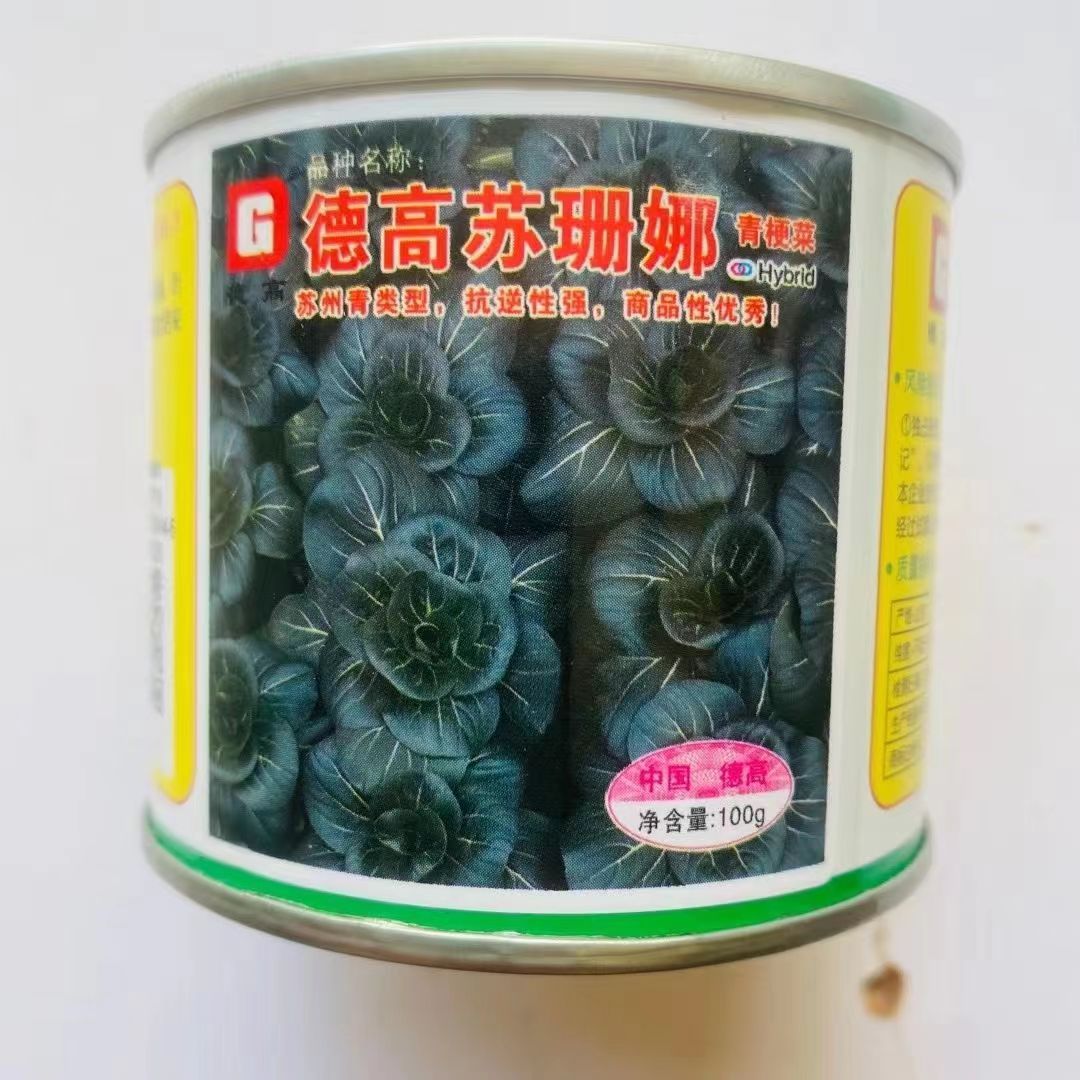 德高苏珊娜黑叶矮帮束腰苏州青种子抗病高产耐寒强黑大头蔬菜种孑