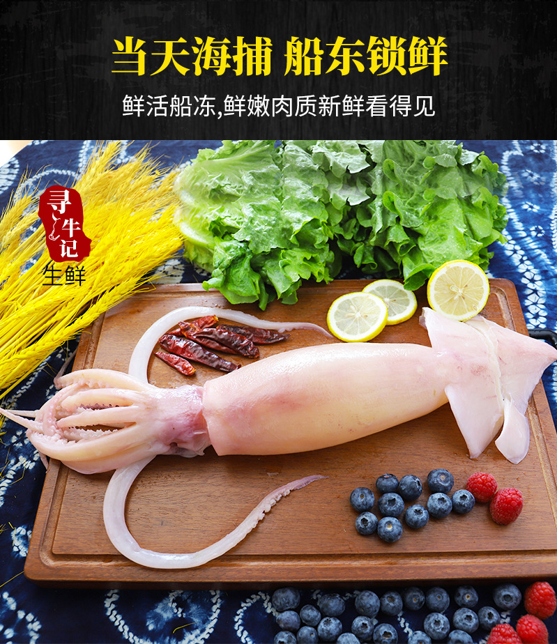 冷冻大鱿鱼鲜活整只海鲜水产生鲜鱿鱼冷冻枪乌贼八爪鱼食材直供