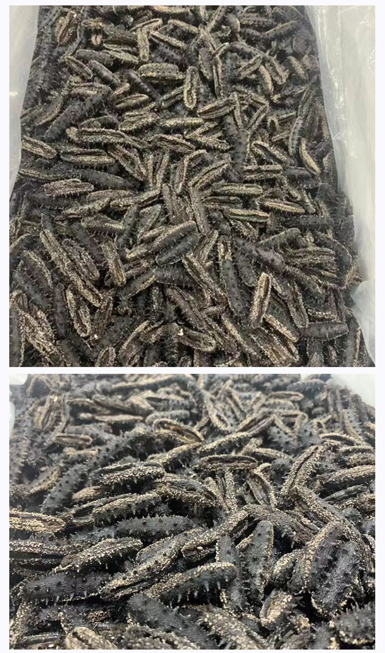 工厂直销 大连速发海参150-250头辽刺参干货 免煮速发海参批发