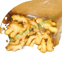 厂家批发生姜农家生姜食品农产品鲜姜 安丘大姜山东大姜黄姜老姜
