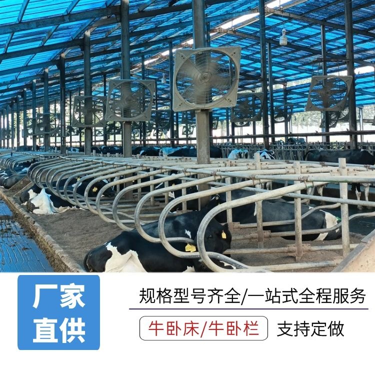 恒力奶牛场双列牛卧床 奶牛保定休息牛卧栏安装 多种规格卧栏厂家