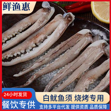 新鲜鱿鱼二本足须鲜活冷冻八爪鱼腿章鱼足丝批发商用生鲜海鲜水产