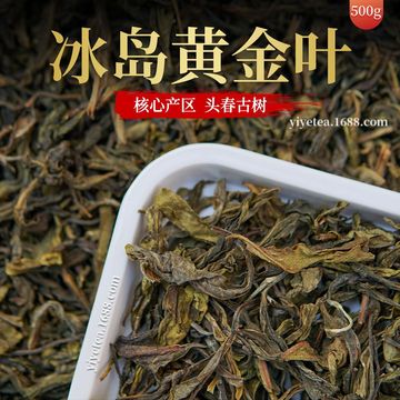 2023年冰岛黄金叶古树普洱生茶散茶黄片批发勐库散装茶叶头春500g