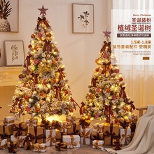 圣诞节白色家用植绒圣诞树套餐1.2/1.5/1.8米加密橱窗装饰网红ins