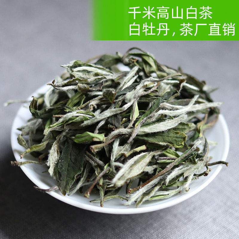 白茶茶饼白牡丹茶叶福建政和福鼎千米高山老散茶绿行茶厂批发包邮