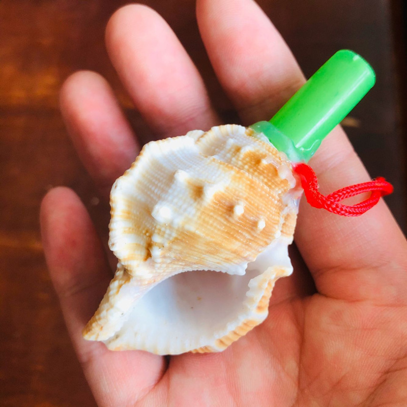 海螺号角贝壳工艺品儿童小玩具可吹小螺号地摊夜市旅游纪念品批发