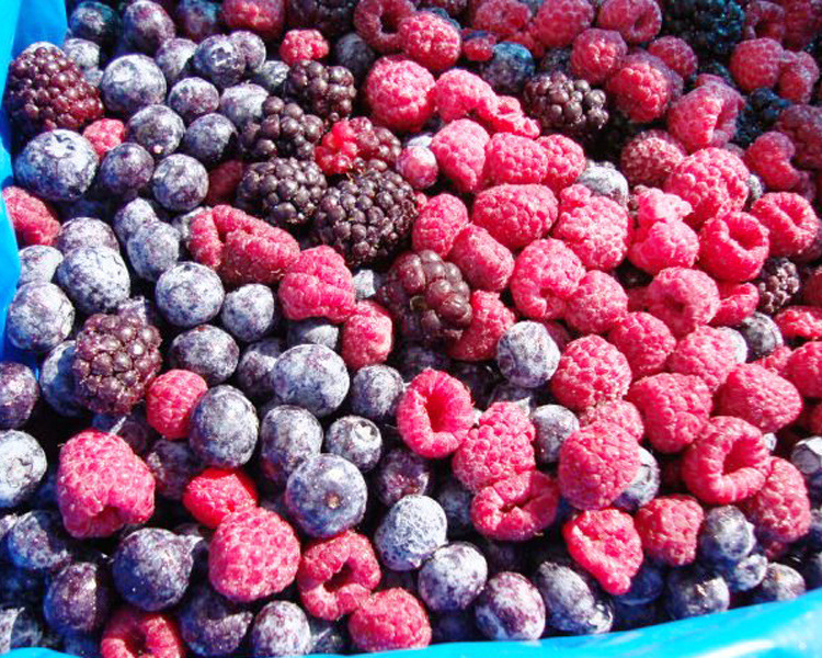 冷冻混合莓 速冻混合莓 冷冻新鲜水果 草莓 蓝莓 黑莓 树莓混合冻