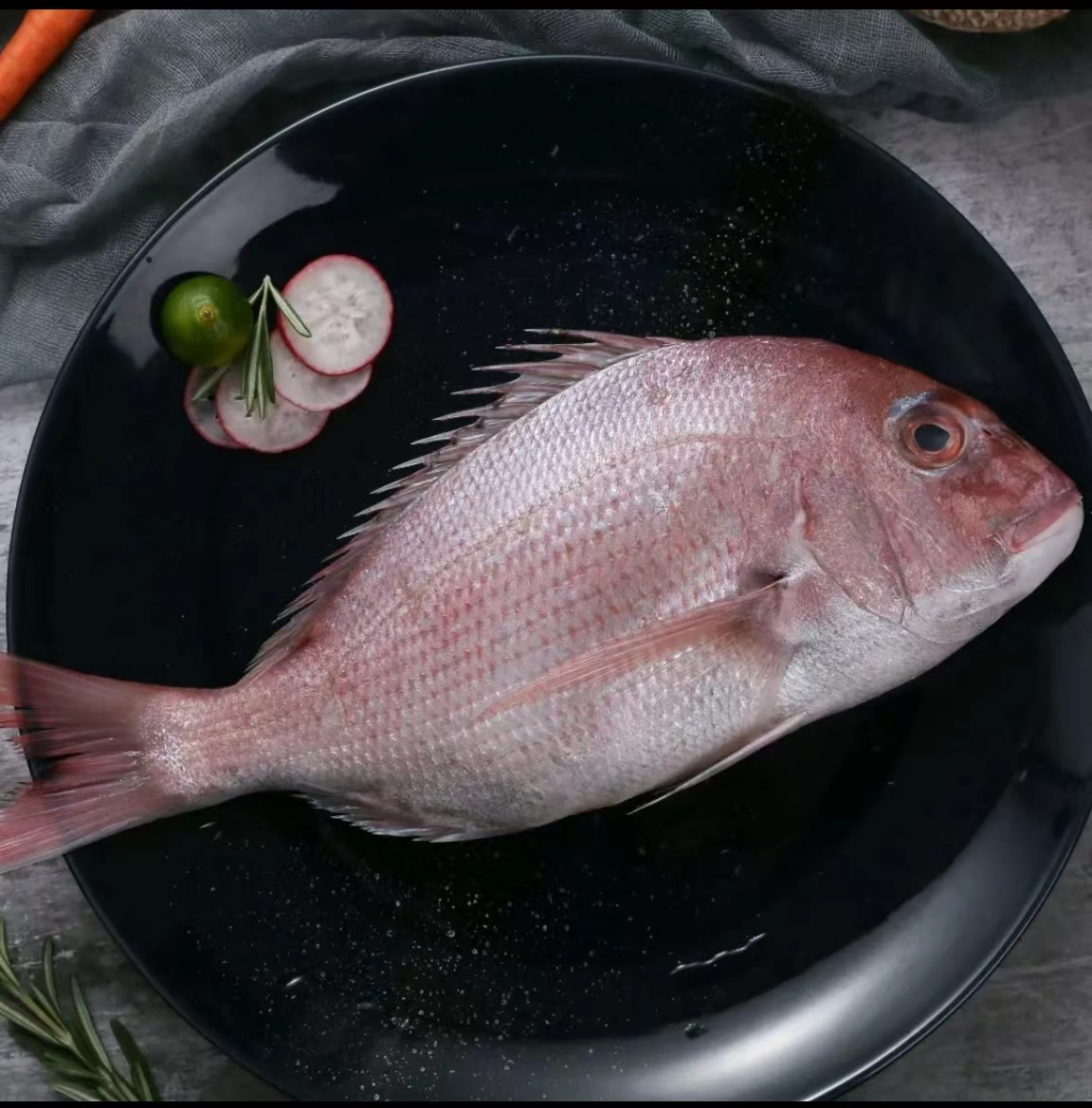 Ⅱ【食材整年供应】真鲷鱼 日料刺身 加吉鱼冰鲜铜盆鱼红鲷鱼鲜活