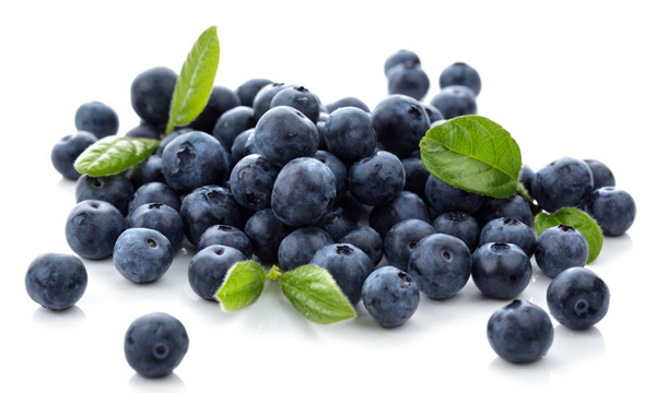 蓝莓果粉 花青素 蓝莓提取物blueberry fruit powder水溶 1kg起售