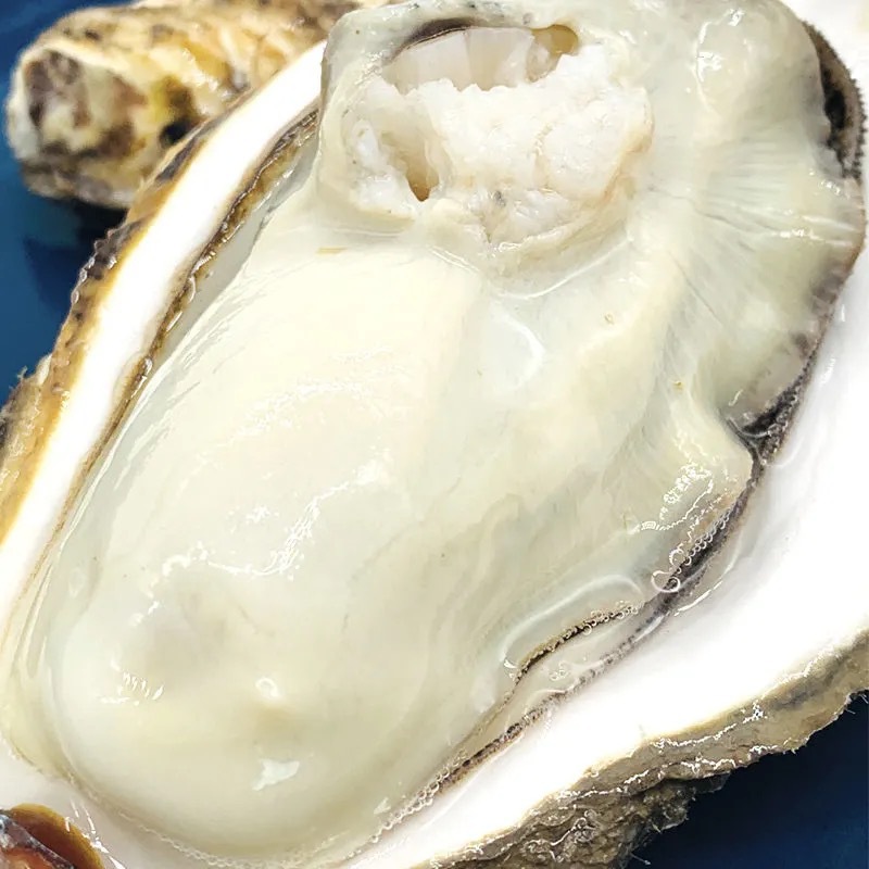 乳山生蚝山东鲜活生蚝肉新鲜大牡蛎带壳海蛎子贝类海鲜水产五斤箱