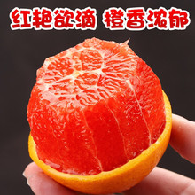血橙秭归中华红血橙红心红肉橙子应季新鲜水果3/5/9斤可选