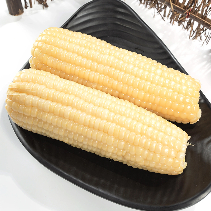 东北玉米新鲜甜糯玉米商用冷冻熟冻粘黏玉米棒白玉米棒整箱批40根