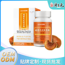 破壁灵芝孢子粉    工厂直销 固体饮料粉剂oem/odm贴牌代工