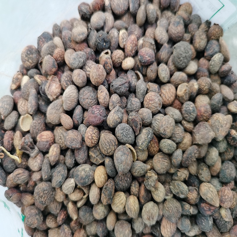 蕤仁 睿仁 千珍中药材 实物拍照一目了然 1斤 冷背中药材批发