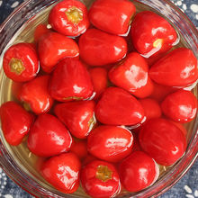 四川泡红灯笼椒酸辣泡椒传统老坛泡红椒圆珠子椒海椒350g