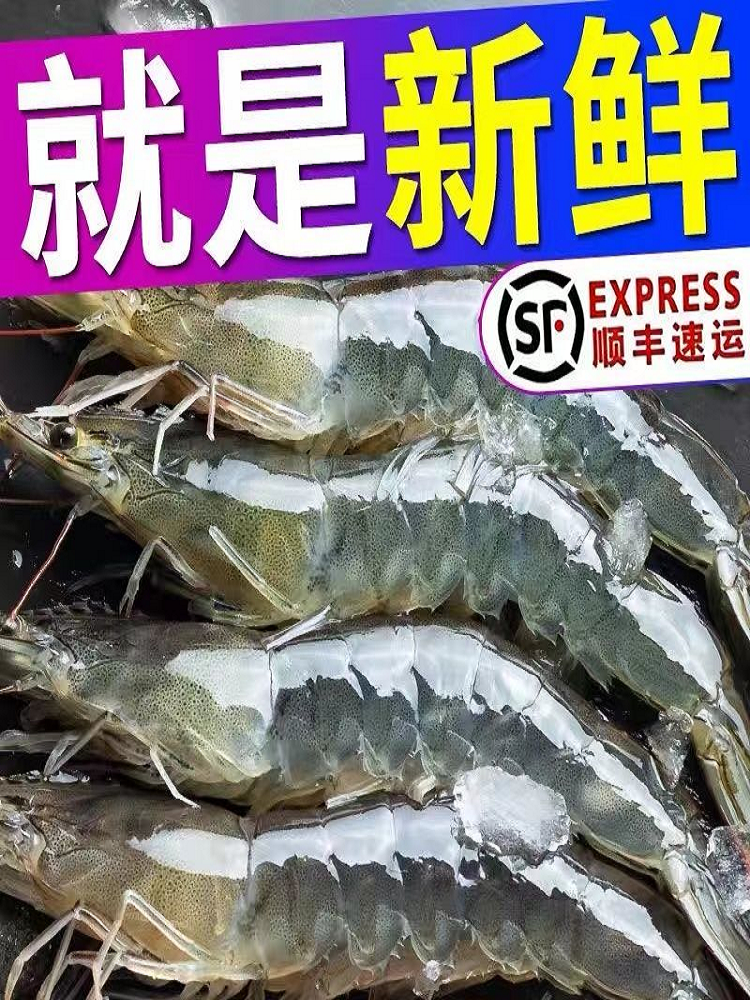 4斤装青岛大虾海鲜水产鲜活速冻海虾新鲜基围虾青虾对虾鲜虾