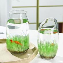 9.8元2个生态小鱼缸微景观四季水培植物草种子玻璃插花瓶创意摆件