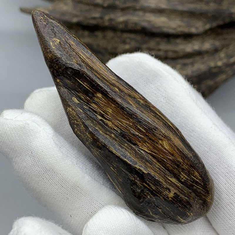 达拉干虫漏沉香随型吊坠老料油性丰富药香味清甜手把件收藏送礼