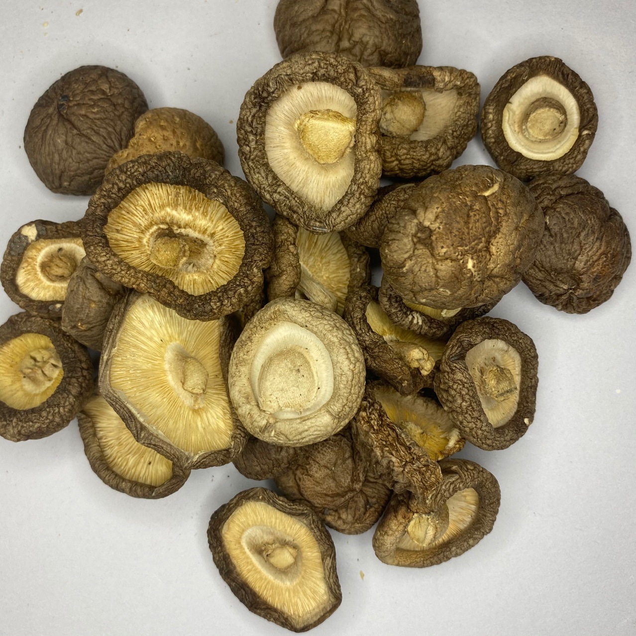 0(cm)种类干香菇品种普通香菇品牌知芝园