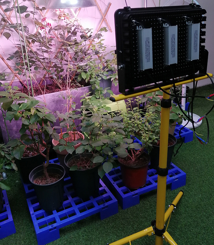 植物光合作用灯-植物光合作用灯厂家,品牌,图片,热帖-阿里巴巴